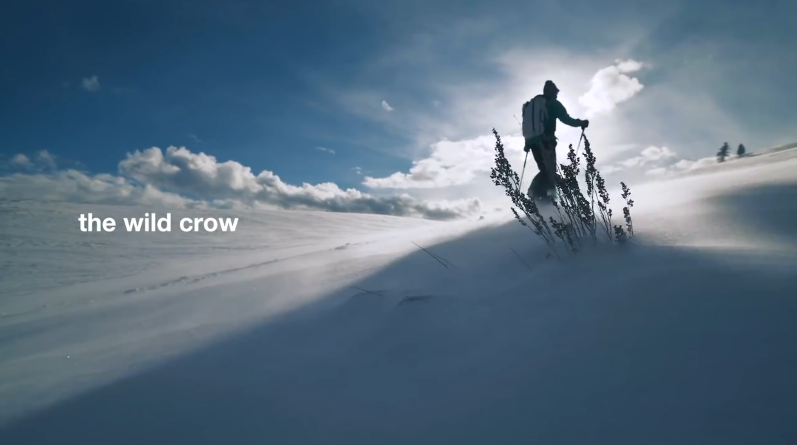 The Black Crows - Episode 10: Beau Fredlund Online